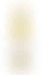 Gaston Hochar Chateau Musar 2007