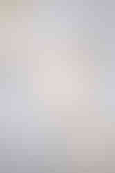 Queso Saint-Félicien