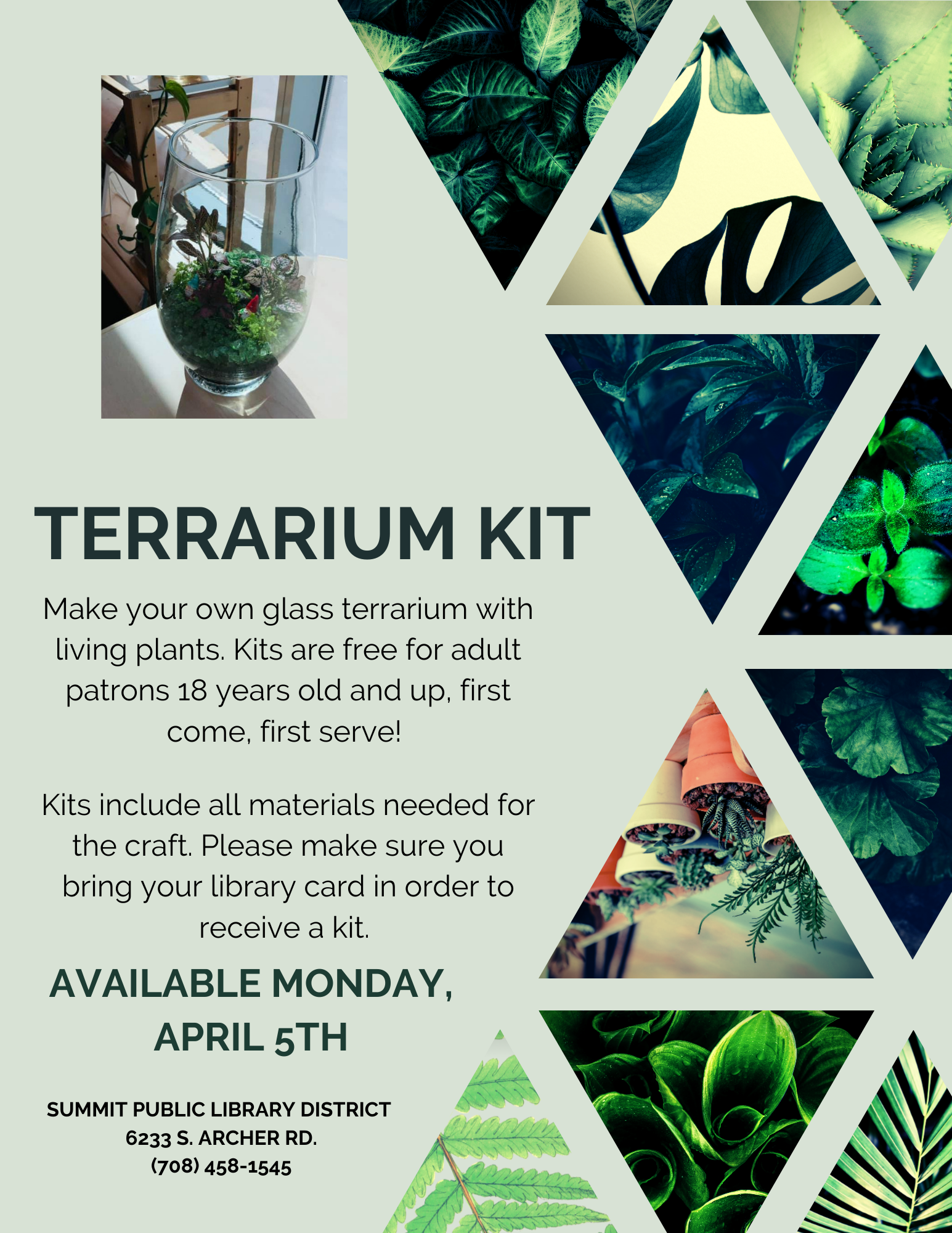 Terrarium Kit