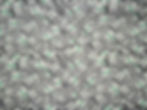 DSCN3612