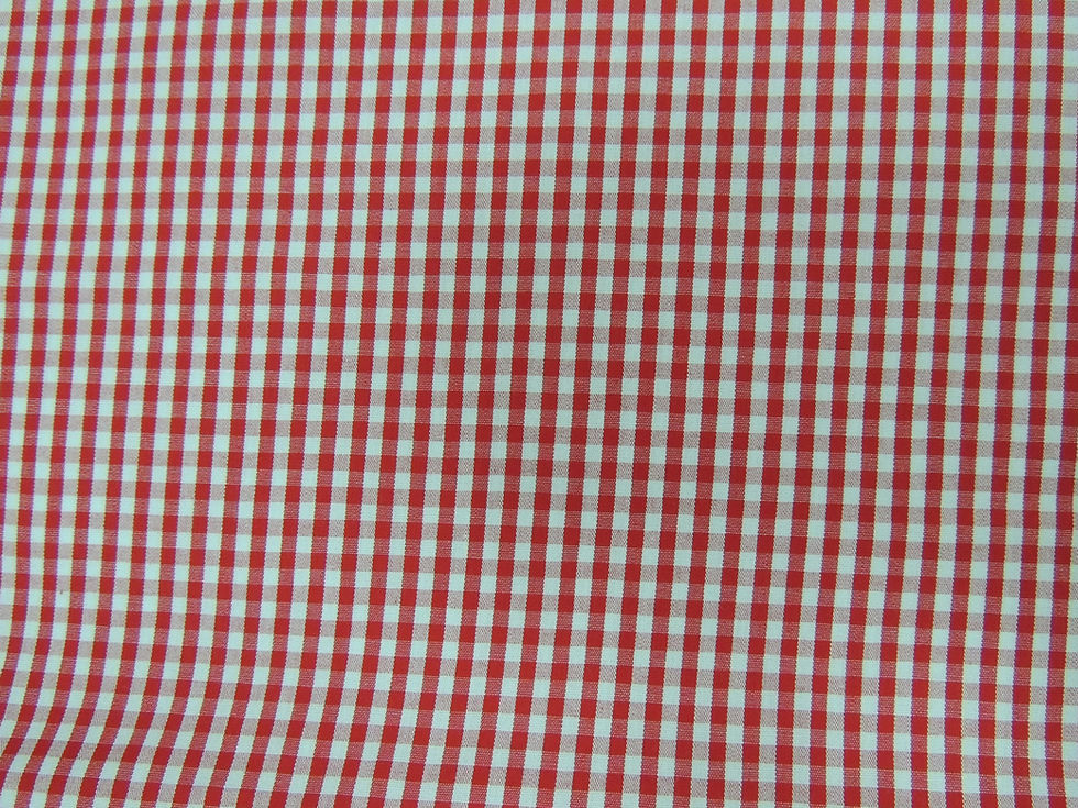 DSCN4158