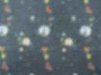 DSCN3630