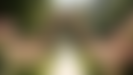 Top Scenic Wedding Venues NJ: Discover Your Dream Location in North Jersey