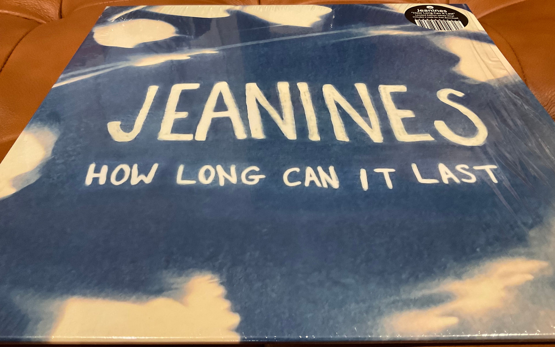 Jeanines How Long Can It Last LP