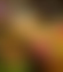 Montreal to ban stores from dumping unsold clothes, food as part of waste plan