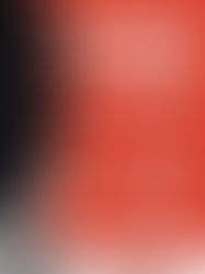 Sat Feb 22, noon - Toronto in Support of Wet’suwet’en