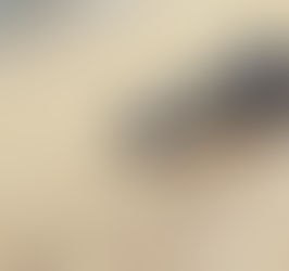 OPINION: How COVID-19 is good news for the environment