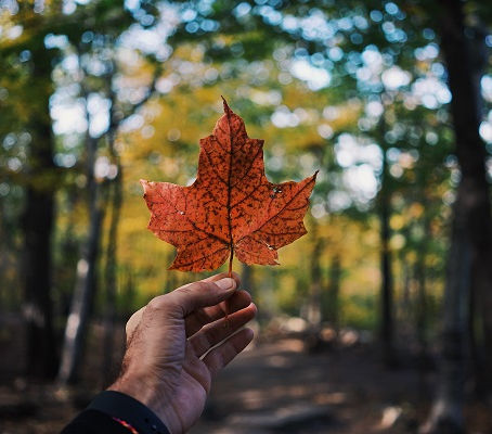 TELL THE GOVERNMENT TO INVEST IN OUR ONE EARTH