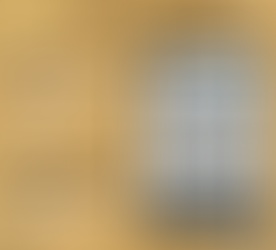 Instagram Live Discussion on 'We are the Weather' by Jonathon Safron Foer