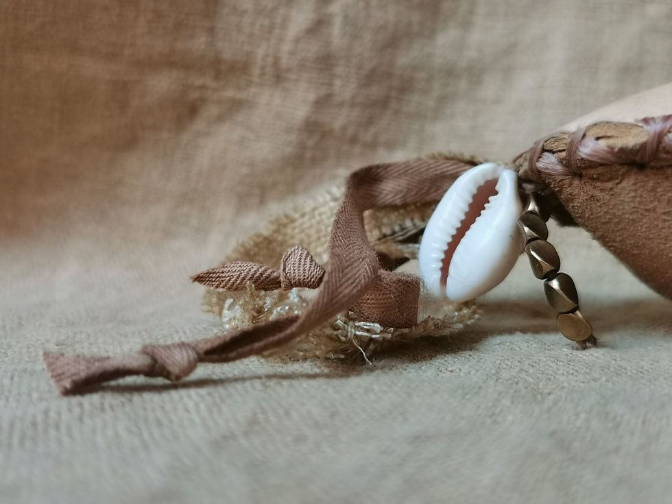 Miniature : coquillage caurie