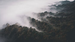 DJI_0482