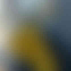 Rekvisita till födelsedagsfest på Tylösand