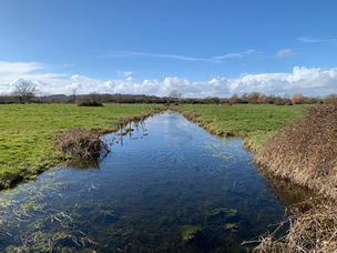 THE BREAMORE-WOODGREEN WALK