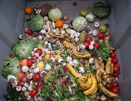 food-waste-dumpster.jpg