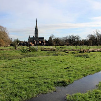 Salisbury Cathedral and the water meadows