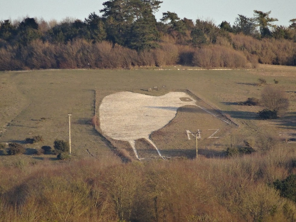 The Bulford Kiwi on a hillside in Wiltshire