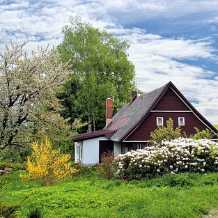 A small cottage ina field surrouded by a mature garden.