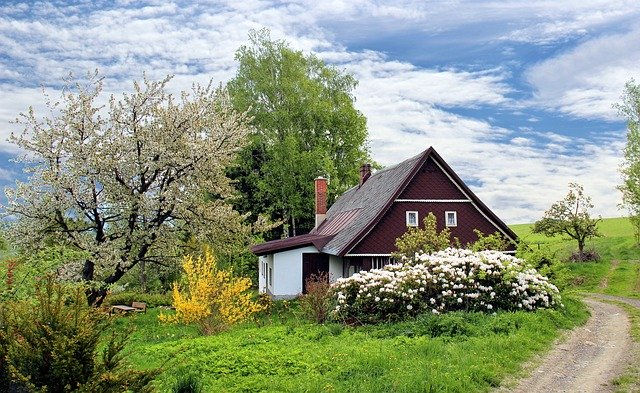 A small cottage ina field surrouded by a mature garden.
