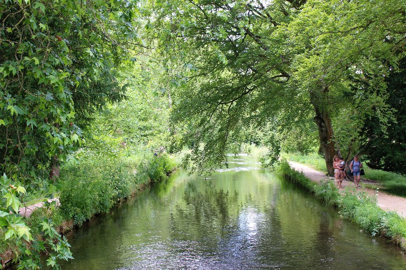 People walking next to the River Test