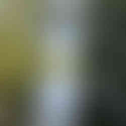 A view of the wide River Avon.