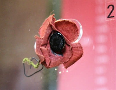 A close up of one of the first ever rememberance poppies