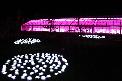 The same gardens by night