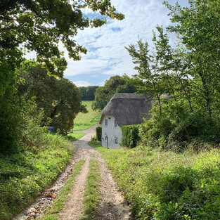 A thatched cottage at the end of a wooded path.