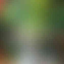 A tree inside one of the galleries for kids to play at