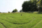The mizmaze in front of a copse of trees