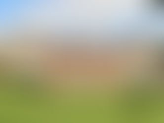 ROSES AND RUINS: MOTTISFONT ABBEY