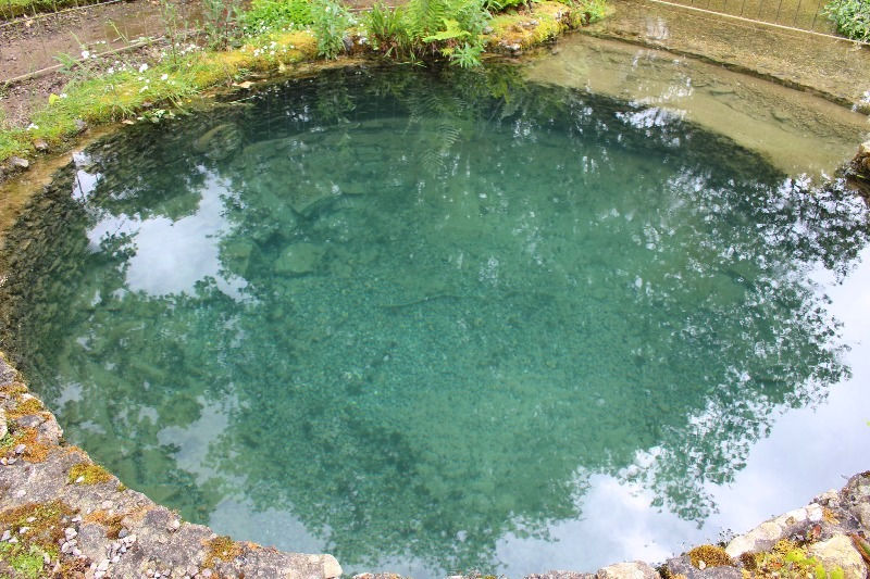 A close up of the circular font