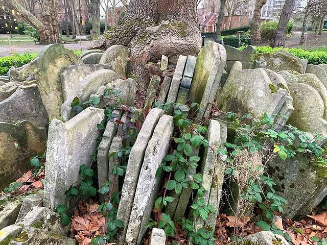 Gravestones around the Hardy Tree