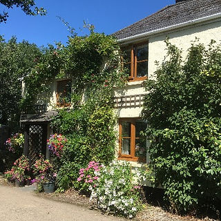  A small cottage covered in flowers