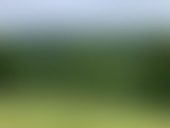 FOREST BATHING IN THE WOODFORD VALLEY