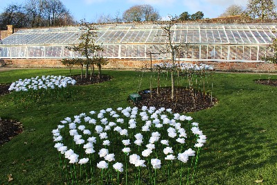 Stourhead gardens by day
