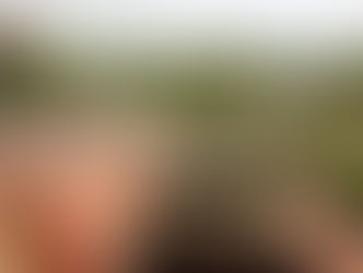 THE BOVINGTON TANK MUSEUM IN DORSET