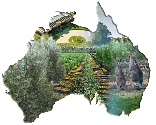Enjoi EVOO is the premium from Australia