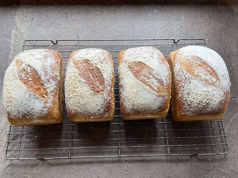 Loaves of bread.jpeg