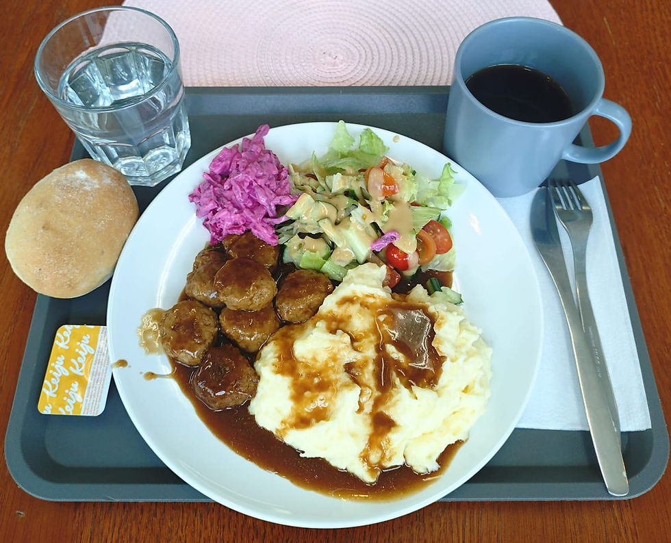 LOUNAS.jpeg