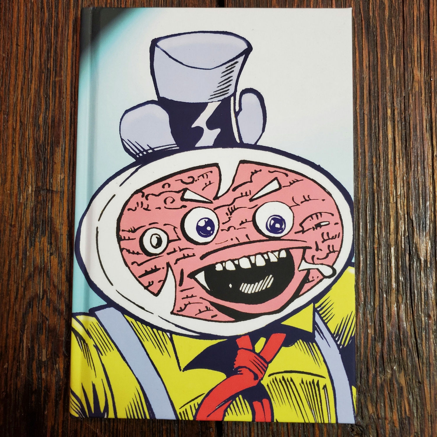 MEATFACE : Rick Limacher and the Meatmen - Hardcover Comic + a bonus
