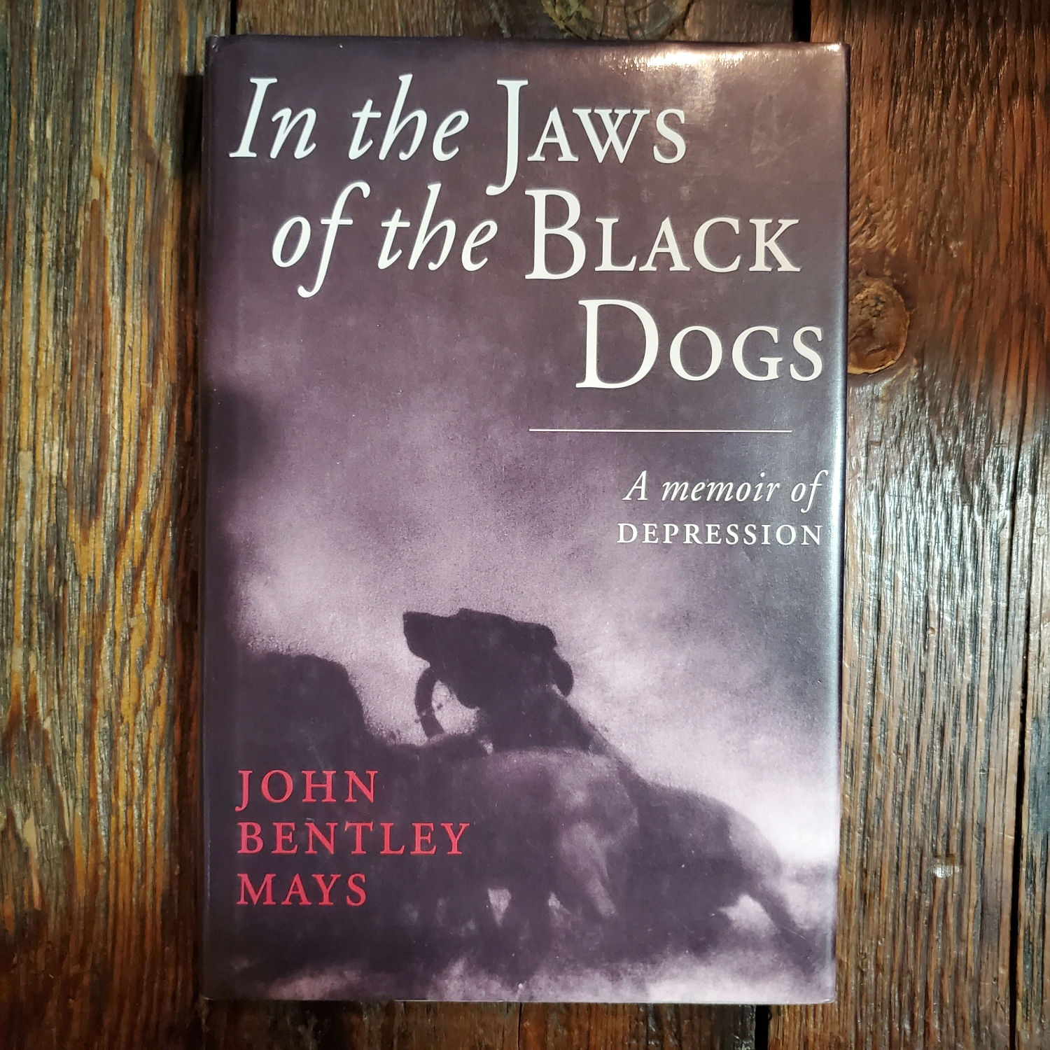 IN THE JAWS OF THE BLACK DOGS : A Memoir of Depression - Hardcover 