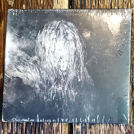 NOISE CULTURE | CAVITY Curiosity Shop