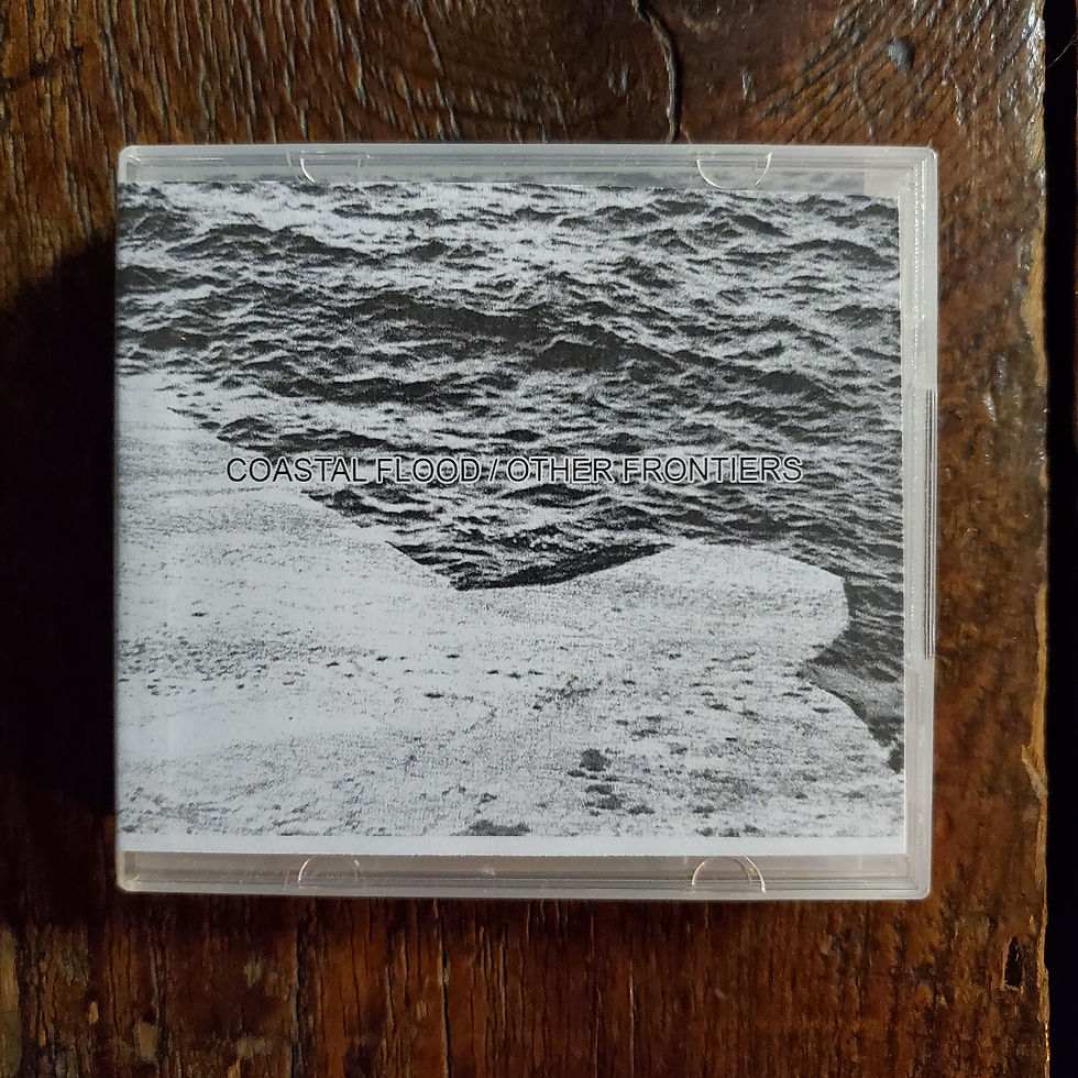 Local NOISE Comp! COASTAL FLOOD / OTHER FRONTIERS - (NEW 2022) Three 3" CDs Set