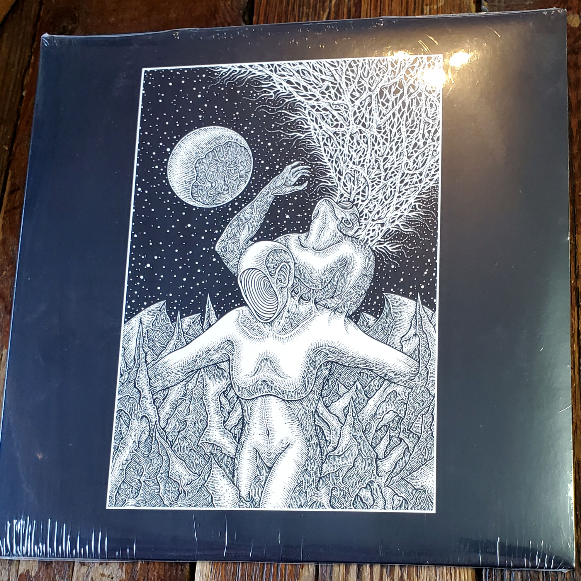 NEW! HAIL THE VOID - VINYL RECORD (2020)