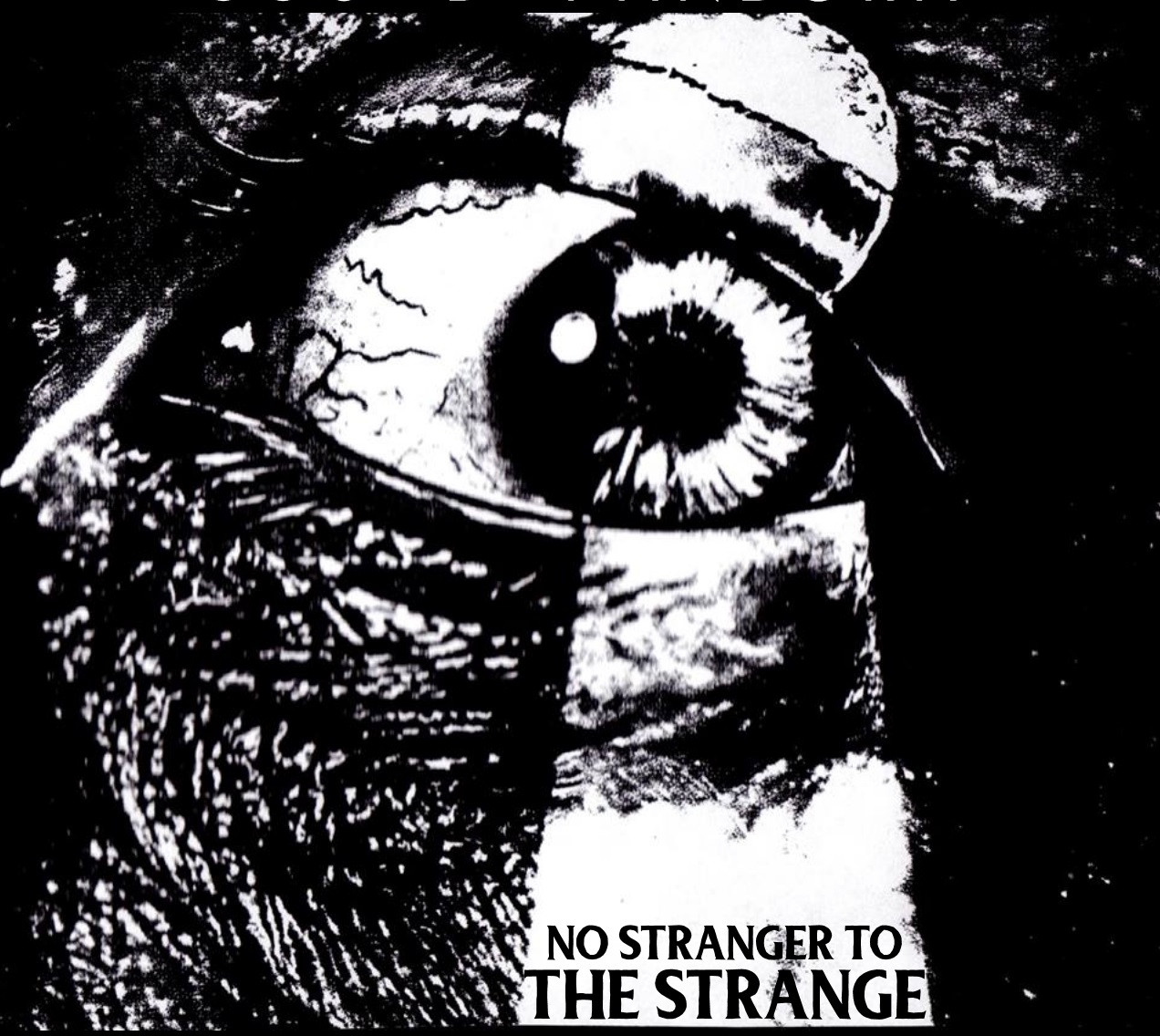 METAL & PUNK | CAVITY Curiosity Shop