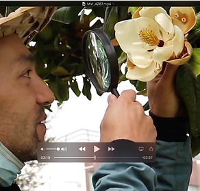 Captura de pantalla 2020-09-02 a la(s) 1