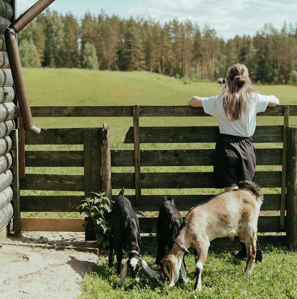 A woman standing near a fence which serves as a boundary outlying her responsibility.