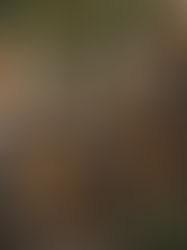 Ride Like a Pro at Bike Valley