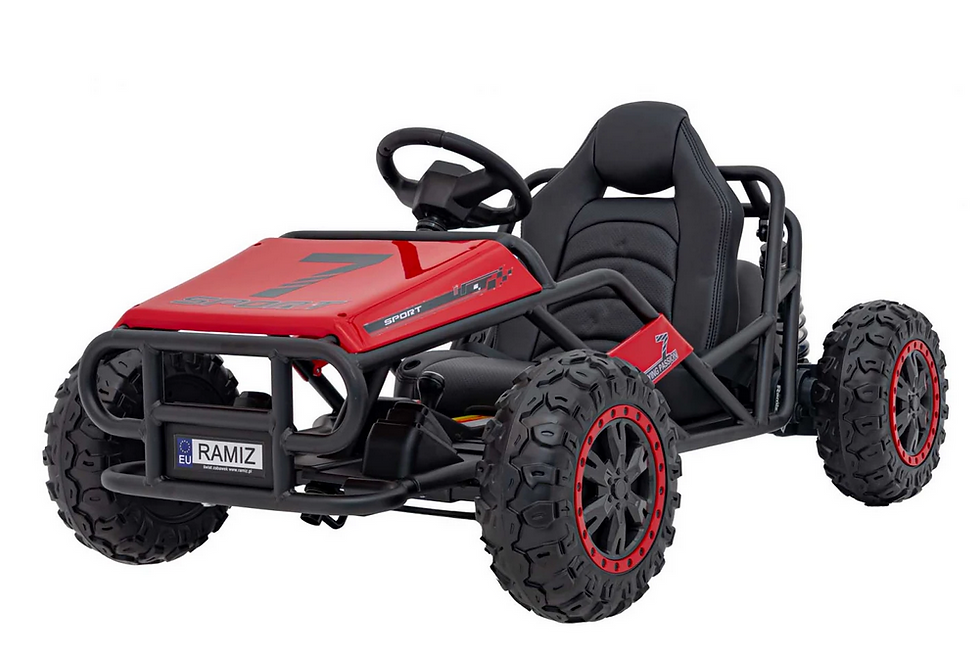 BUGGY SPORT 5 - 2x100W 24V 10Ah