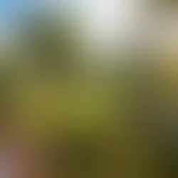 Предложения 2026 от The Oberoi Beach Resort, Mauritius